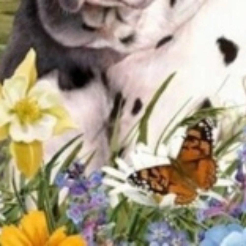 Dalmatian Garden Flag 11" x 15" USA New - Picture 2 of 4